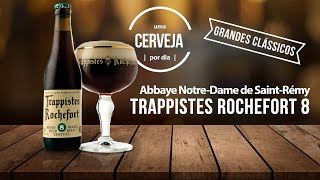 Trappistes Rochefort 8 2022  Abbaye NotreDame de SaintRémy  Uma Cerveja Por Dia 0489 [upl. by Yann]