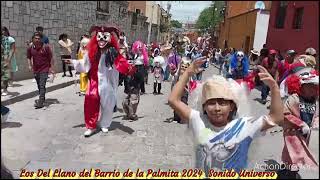 Locos Los Del Llano del Barrio de la Palmita 2024 Sonido Universo🎉🎊 Virgen de las 3 Aves Marías🙏🎉🤡🎶 [upl. by Noxin23]