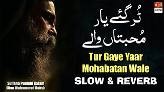 Tur Gaye Yaar Mohabbatan Wale  Slow amp Reverb   Kalam Mian Muhammad Bakhsh  AJR Digital [upl. by Marih]