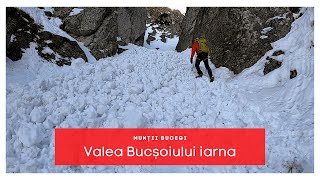 Bucegi iarna Valea Bucșoiului  Vârful Omu  Valea Cerbului [upl. by Ecnerol617]