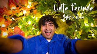 Udta Parinda  Official Music Video  Iqlipse Nova [upl. by Zailer]