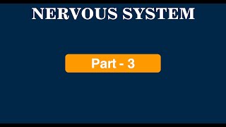 Nervous System Part  3  Protection of CNS  Meninges  CSF  Blood Brain Barrier  Ventricles [upl. by Ylil980]