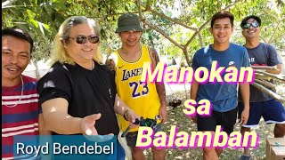 EP482 Manokan sa Balamban ni Royd Bendebel [upl. by Marcile]