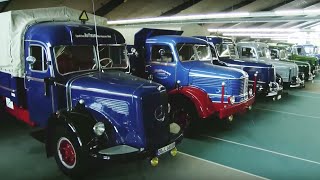 Huge Collection of Classic Trucks [upl. by Jauch]