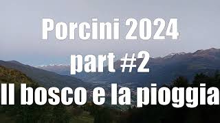 Porcini 2024 part 2 [upl. by Anirac]