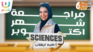 ساينس للصف السادس الابتدائي  مراجعة اكتوبر  revision science grade 6 [upl. by Jeddy]