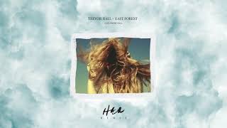 Trevor Hall  her feat Emory Hall East Forest remix [upl. by Mccully495]