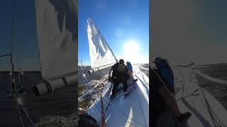 j80 sailboatracing [upl. by Alameda]