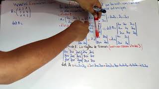 les matrices  determinant EP 01 determinant 22 et 33 regle du sarrus Algebre partie 3 [upl. by Arawaj]