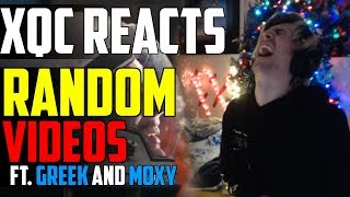 xQc REACTS TO RANDOM VIDEOS ft Greekgodx and Moxy 3  xQcOW [upl. by Letnwahs]