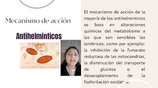 Fármacos Antiprotozoarios y Antihelminticos [upl. by Ahsiak30]