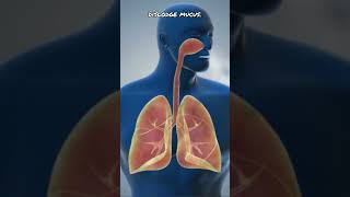 How To Cleanse You Lungs Naturally 🫁 lungs lungshealth healthandfitness [upl. by Brill]