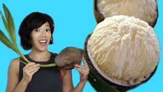 How to Open a SPROUTED COCONUT amp Taste Test  coconut filled with edible foam  Fruity Fruits [upl. by Ataeb]