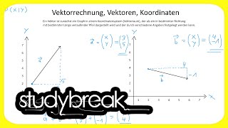 Vektorrechnung Vektoren Koordinatensystem  Wirtschaftsmathematik [upl. by Alberic]