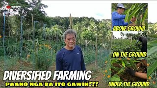 Vlog 110 Paano nga ba KUMITA sa DIVERSIFIED FARMING diversified organicfarming [upl. by Louisa578]