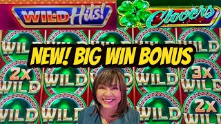 BIG WIN BONUS FULL SCREEN OF WILDSNEW WILD HITS [upl. by Nagap]