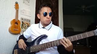 Porter  Espiral Cover en BajoBass Cover [upl. by Alemahs]