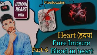 Heart Chambers Pure and Impure Blood and Blood Vessels Explained  Class 6to10  Neet  2024 [upl. by Akeirahs]