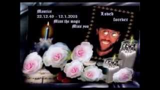 In Memory of Maurice Gibb Immortality [upl. by Narrat]