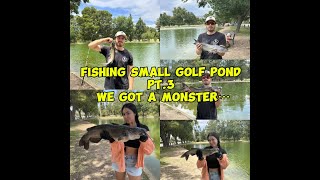 fishing small golf pond pt3 we got a MONSTER [upl. by Kiona]