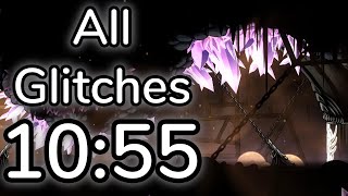 Hollow Knight  Any All Glitches  10m 55s [upl. by Ranjiv]