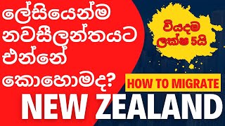 නවසීලන්තයට එන්නේ කොහොමද  How to migrate New Zealand easily  New Zealand Sinhala [upl. by Roter]