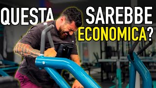 La PALESTRA LOW COST che NON TI ASPETTI palestra australia [upl. by Deehsar725]