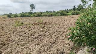 Hanumantha Ram naik MB farming activities 2024 [upl. by Arabella121]