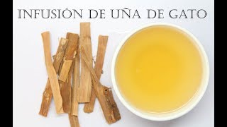 Como preparar té de uña de gato y algunos beneficios de tomar esta infusión para la salud [upl. by Launam]