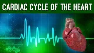 Cardiac Cycle and Conduction System of Heart Physiology Animation [upl. by Hijoung869]