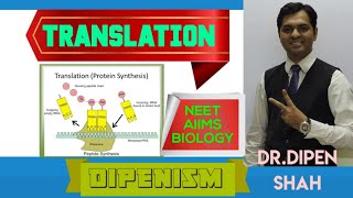 TRANSLATION  MOLECULAR BASIS OF INHERITANCE Class 12 CBSE NEET BIOLOGY Dipenism [upl. by Yasnil672]