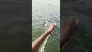 fishing fiish beachfishing fish filefish beach fihing videogama nature fiahing [upl. by George]