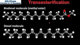 C4 Transesterification SL [upl. by Babbie65]