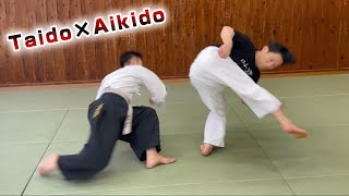 Aikido Master learns Kick of Taido quotMANJI KICKquot 【Taido】 [upl. by Strohl]