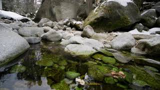 Mindfulness Exercise 4 Leaves on a Stream at Sundance Film Festival 2023 [upl. by Ayahs]