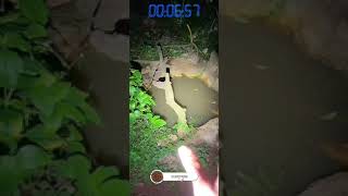 ✨Makam Tunggal✨viral video trending explore horror trend foryou [upl. by Electra326]