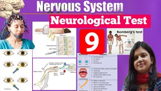 Neurological Test  Pupil Reflex Glasgow Coma Scale Romberg Caloric Lumbre Puncture amp EEG Test [upl. by Tyrone]