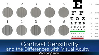 Contrast Sensitivity and how it Differs with Visual Acuity [upl. by Burr318]