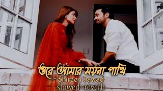 Ore Amar Moyna Pakhi ওরে আমার ময়না পাখি  slowed  reverb  shireen jawad  Ta Hiaa  BanglaLofi [upl. by Hennahane]