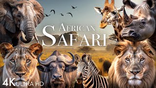 African Safari 4K  Amazing Wildlife of African Savanna  Scenic Relaxation Film [upl. by Attenyw757]