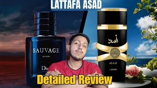 Lattafa Asad Detailed Review UrduHindi [upl. by Aryan]