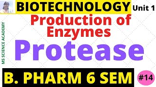 ProteaseProduction of EnzymesBiotechnologyUnit 1 B Pharmacy 6 SemLect14 [upl. by Rodavlas191]