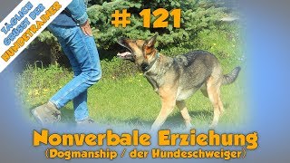 Nonverbale Erziehung  Der Hundeschweiger [upl. by Moffitt]