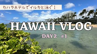 HAWAII VLOG DAY2 1 カハラホテルでイルカと泳ぐ！ [upl. by Keel]