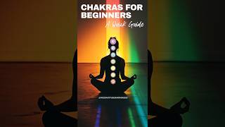 CHAKRAS for BEGINNERS – A Quick Guide [upl. by Aihsekal797]