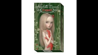 Nicoletta Ceccoli Tarot Lo Scarabeo 78 cards instructions art arcana baraja cartas arte Italia itali [upl. by Girovard249]