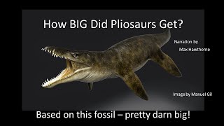 How BIG Did Pliosaurs Get [upl. by Myrta951]