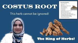 Costus Root  Indian Costus  القسط الهندي [upl. by Yentruocal382]