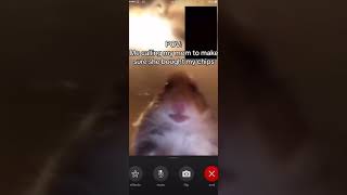 Hamster calling meme funny like subscribe [upl. by Suiramaj]