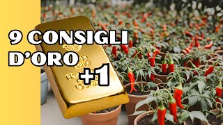 10 Consigli per Peperoncini da Campioni [upl. by Drew]